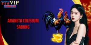 Understanding Araneta Coliseum Sabong Heritage Today