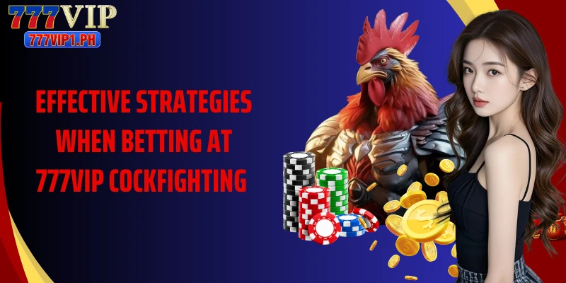 Effective strategies when betting at 777vip Cockfighting