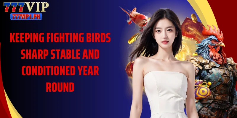 Keeping fighting birds sharp stable and conditioned year round