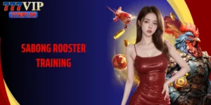 Mastering Sabong Rooster Training Techniques Expertly