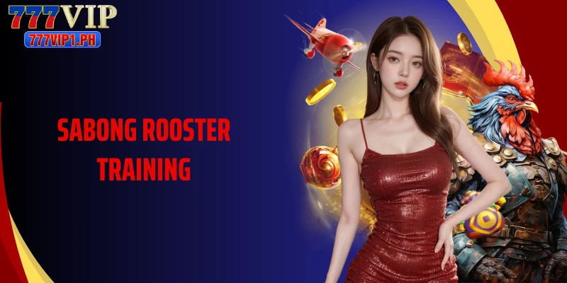 Mastering Sabong Rooster Training Techniques Expertly